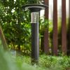 Solar Lawn Light With Dimmable LED