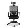 YSSOA Office Ergonomic Mesh Computer Chair with Wheels &amp; Arms &amp; Lumbar Support; 02B; Black-Pro