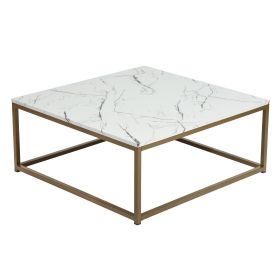 Square Coffee Table for Living Room; Living Room Tables Sofa Side Table with Metal Frame; Wood Tabletop Dining Tea Table for Home; Marble &amp; Gold