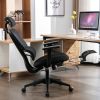 Ergonomic Mesh Office Chair with 4D Adjustable Armrest,High Back Desk Computer Chair,Ergonomic Office Chair with Wheels for Home & Office