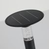 Solar Lawn Light With Dimmable LED