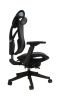 Big and Tall Office Chair with Adjustable lumbar and slide seats ; Headrest and 4d armrest ; tilt function max degree is 115 Â¬âˆž; 300LBS; Black