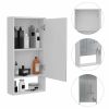 Burlington Rectangle Medicine Cabinet with Mirror White