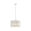 [Only support Drop Shipping Buyer] Abbot 4-Light Glass Drum Shade Chandelier