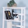 Basics Modern 5-Tier Ladder Wooden shelf Organizer, White 13.7" D x 23.6" W x 58.1" H