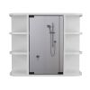 Roseburg 6-Shelf Medicine Cabinet with Mirorr White