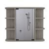 Roseburg 6-Shelf Medicine Cabinet with Mirorr Light Grey