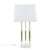 [Only support Drop Shipping Buyer] Doyer Metal Table Lamp