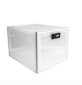 Refrigerator Food Storage Box With Combination Lock (Option: Transparent White)