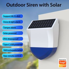 Graffiti Smart WiFi Outdoor Solar Sound And Light Alarm (Option: NAS AB06W Built In Battery)